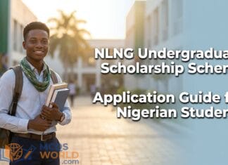 NLNG Undergraduate Scholarship Scheme: Application Guide for Nigerian Students